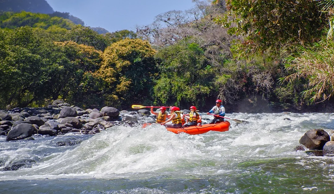 Ecoturismo en Veracruz con actividades reales