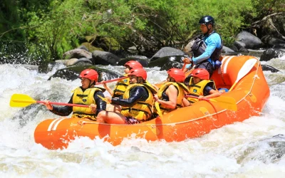 Mejores actividades en la selva veracruzana